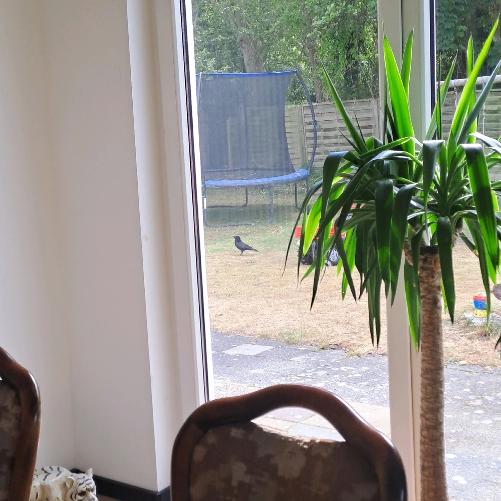 Bild hochgeladen von Sarah