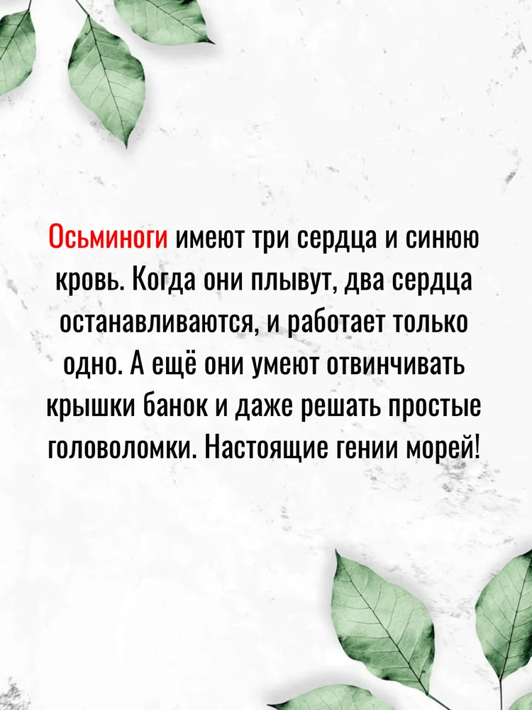 Фото загрузил Олег