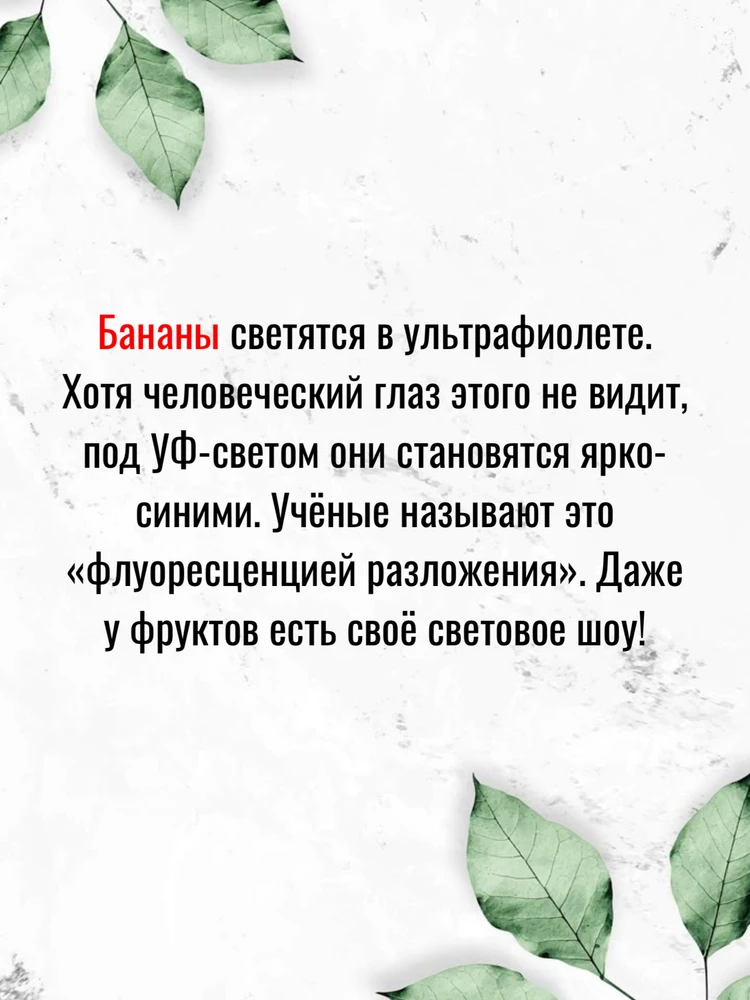Фото загрузил Олег