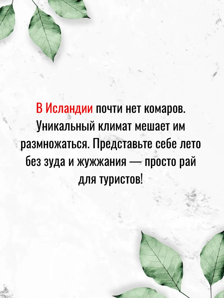 Фото загрузил Олег