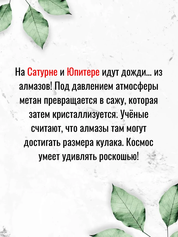 Фото загрузил Олег