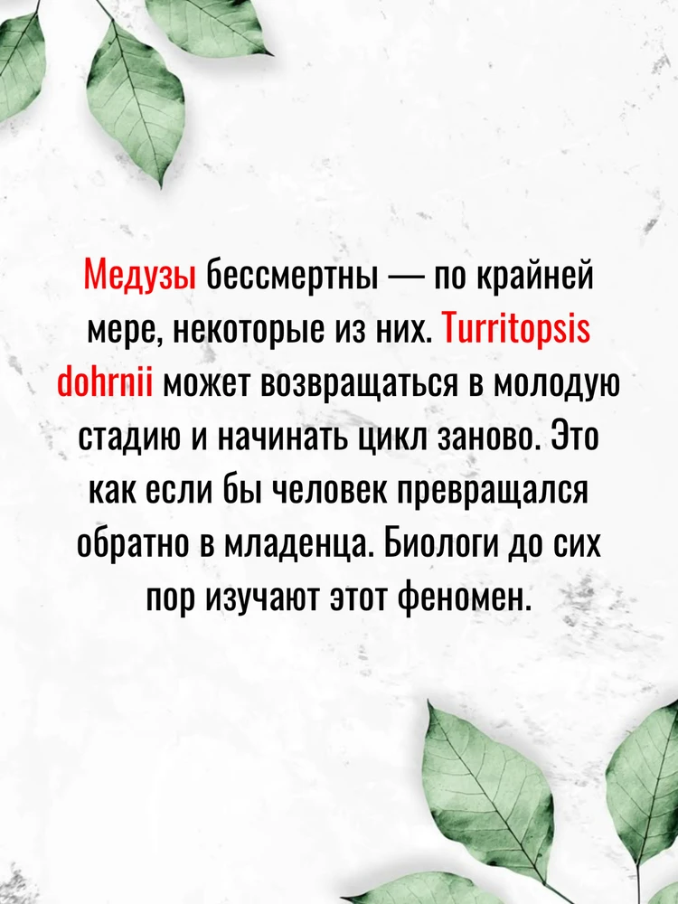 Фото загрузил Олег