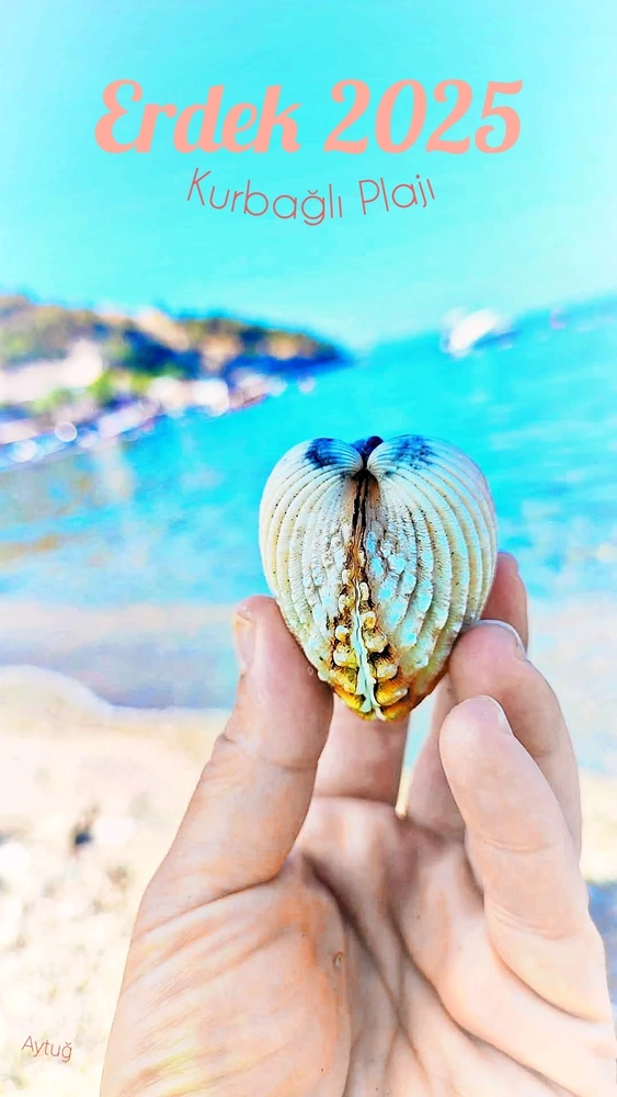 Aytuğ tarafından yüklenen GIF