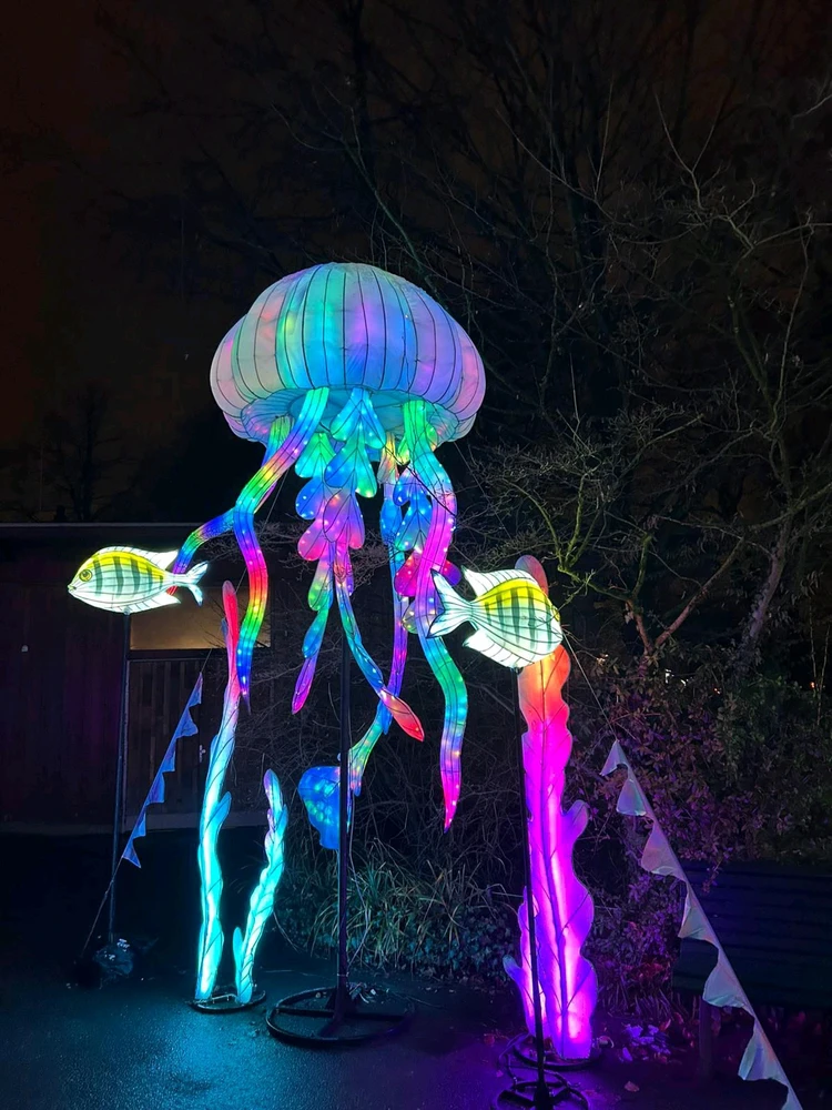 Bild hochgeladen von Artur