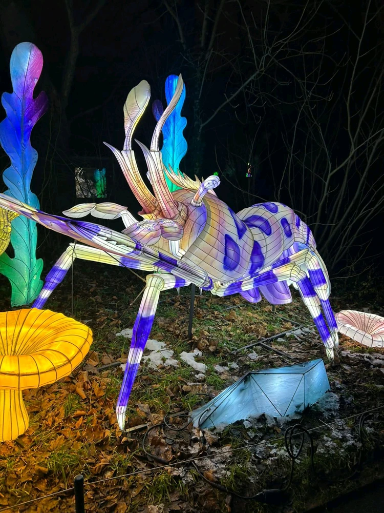 Bild hochgeladen von Artur