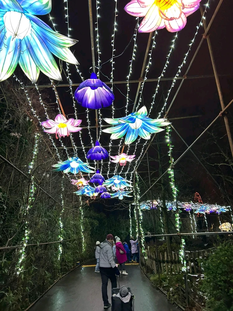 Bild hochgeladen von Artur