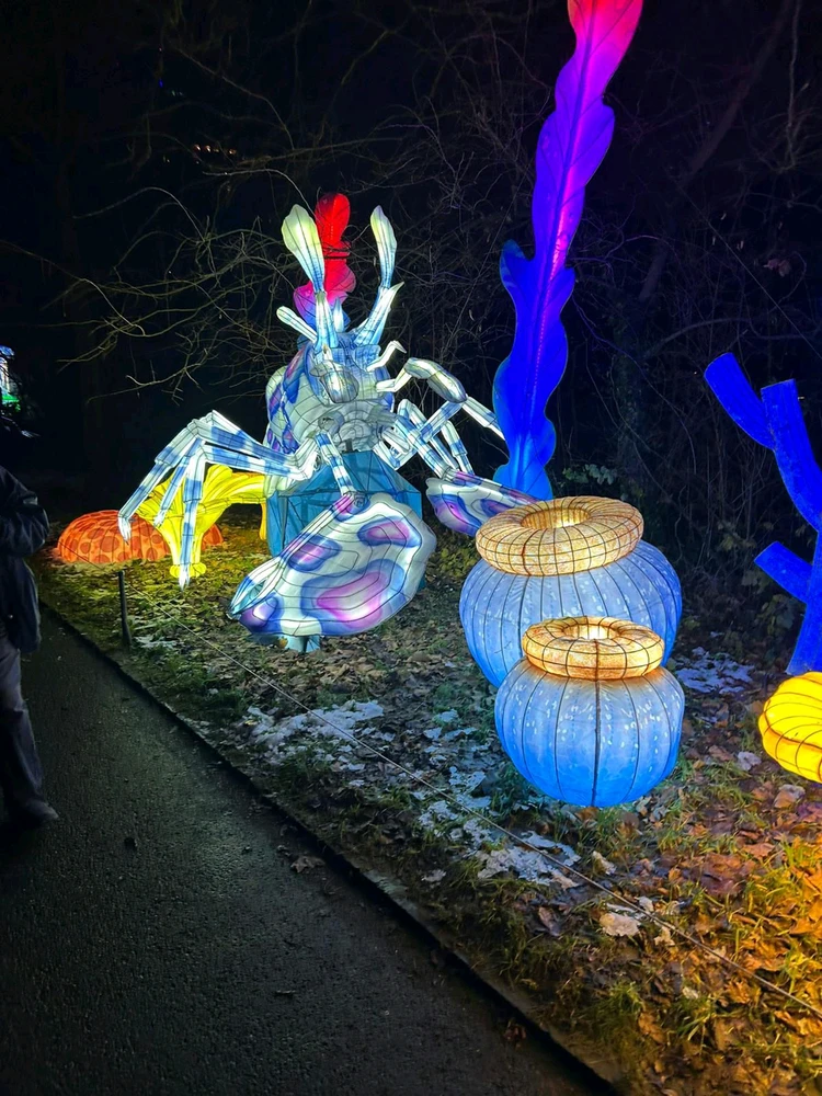 Bild hochgeladen von Artur