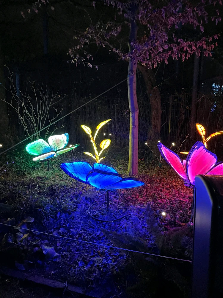 Bild hochgeladen von Artur