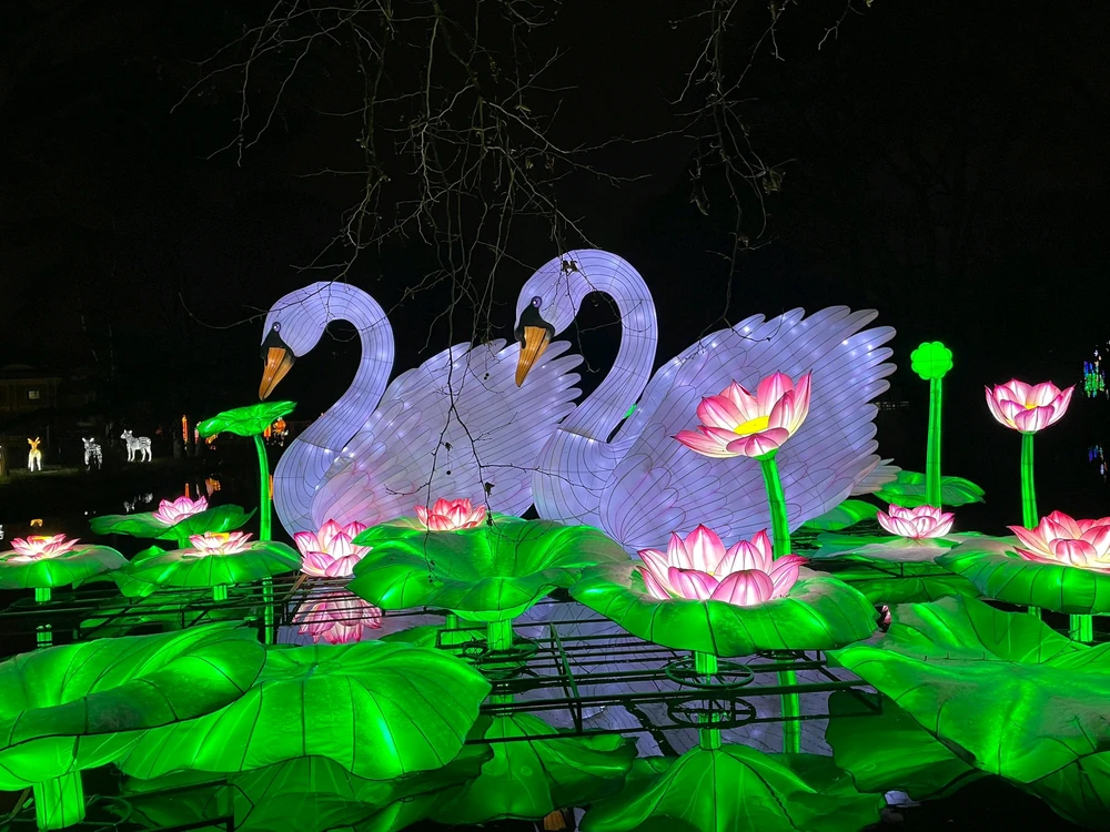 Bild hochgeladen von Artur