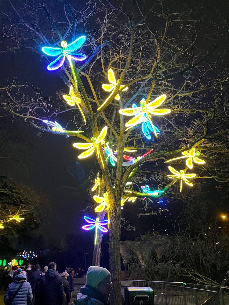 Bild hochgeladen von Artur