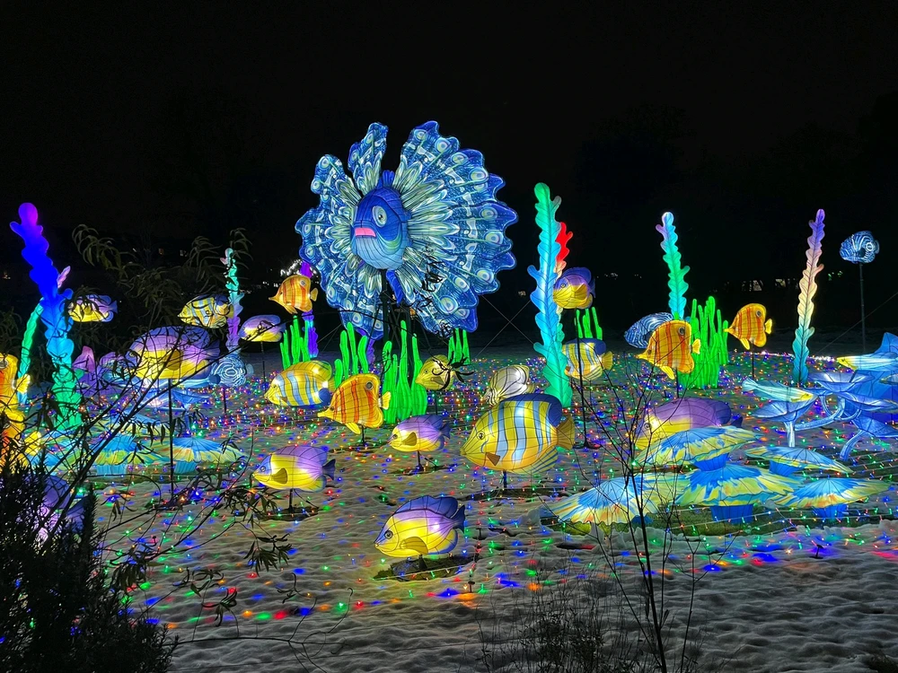 Bild hochgeladen von Artur