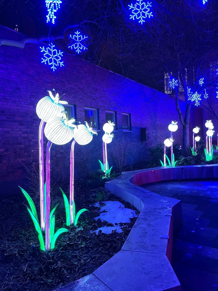 Bild hochgeladen von Artur