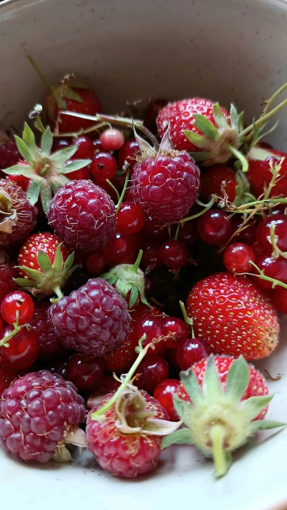 Image ajoutée par Milly