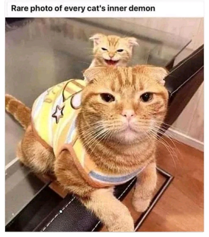 GIF uploaded by Peter