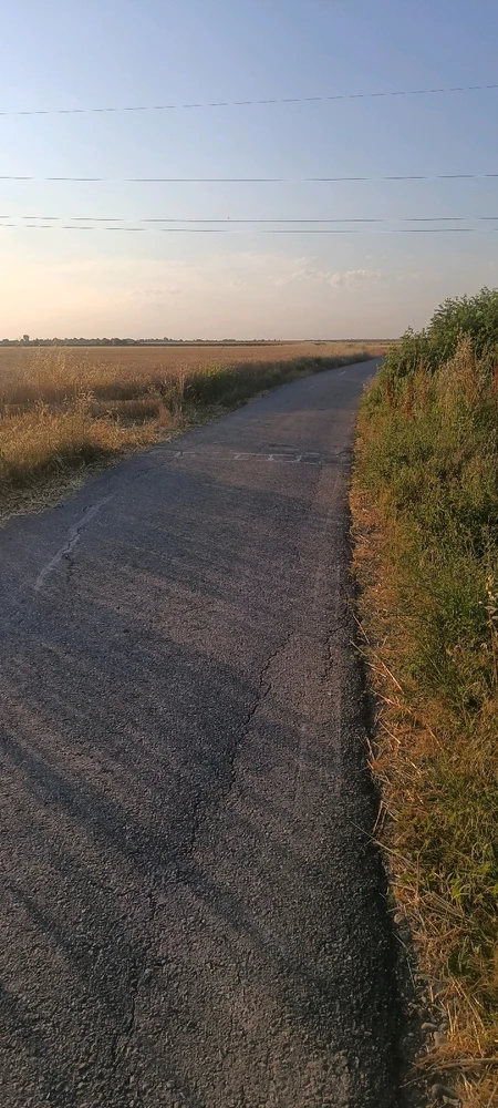 GIF încărcat de Francisc