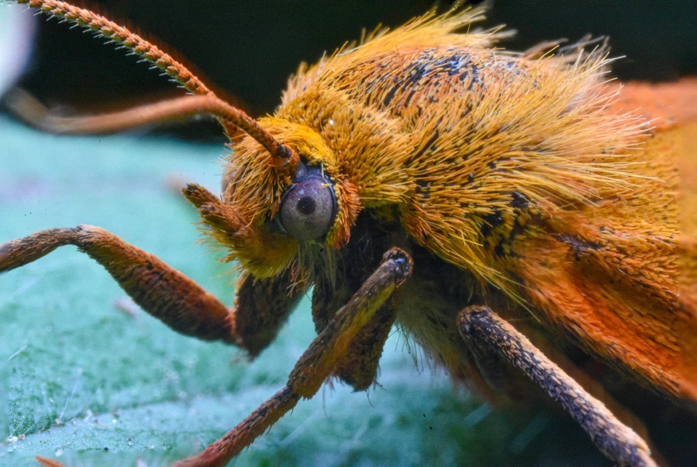 Фото загрузил Николай