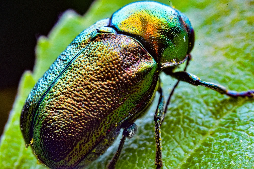 Фото загрузил Николай