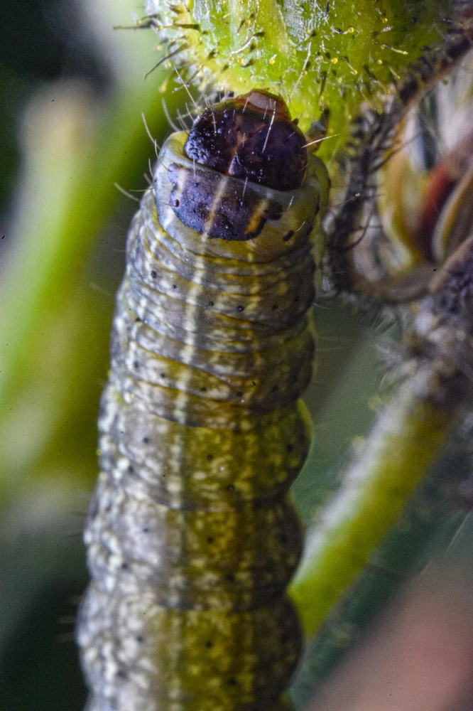 Фото загрузил Николай