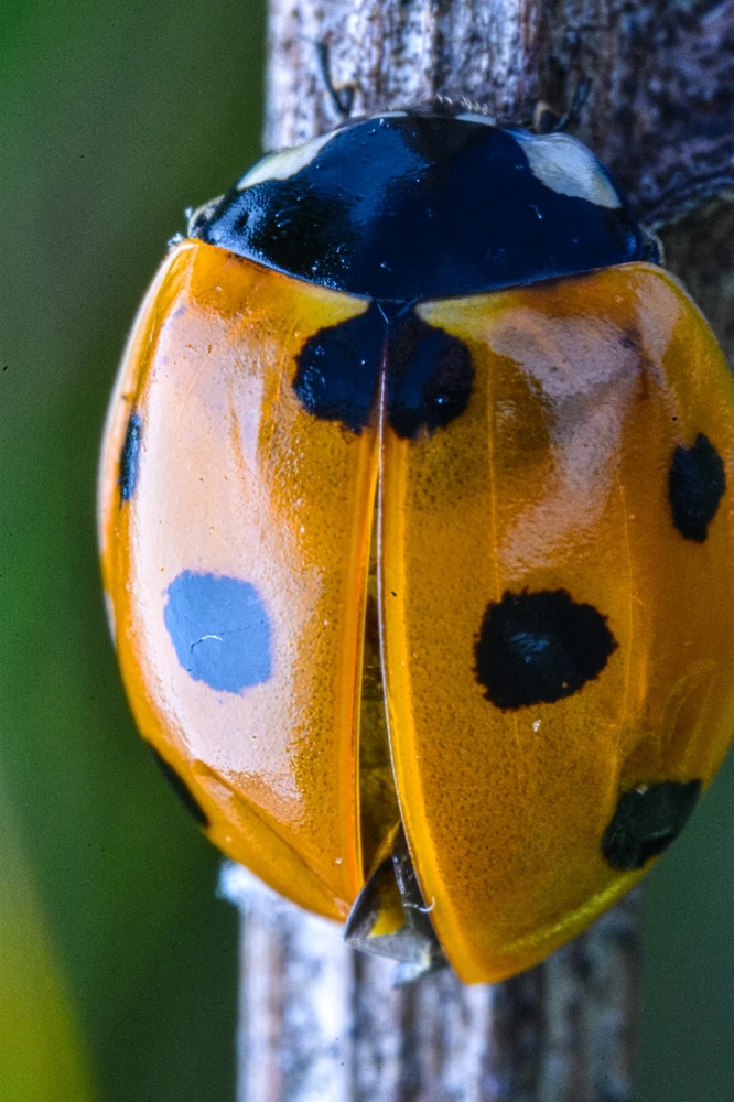Фото загрузил Николай