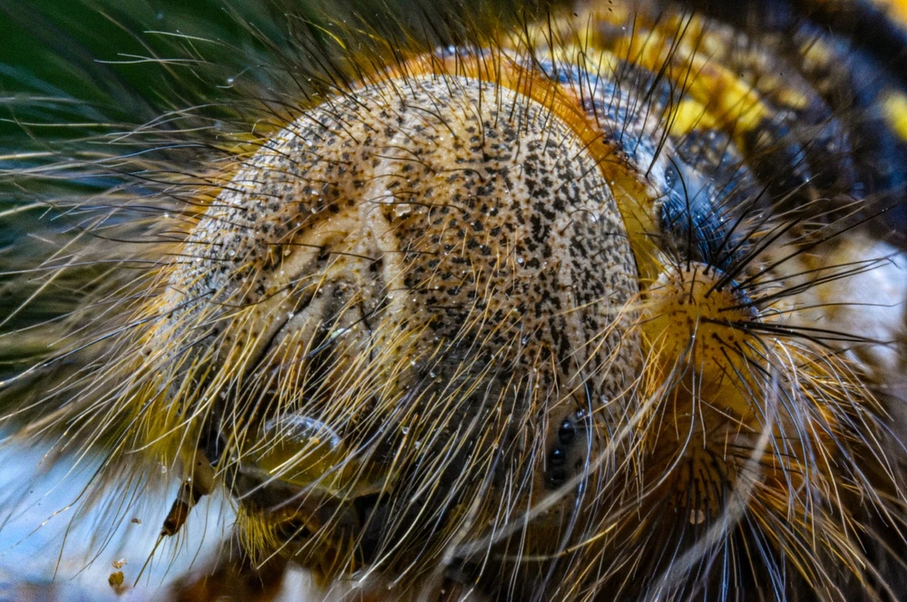 Фото загрузил Николай