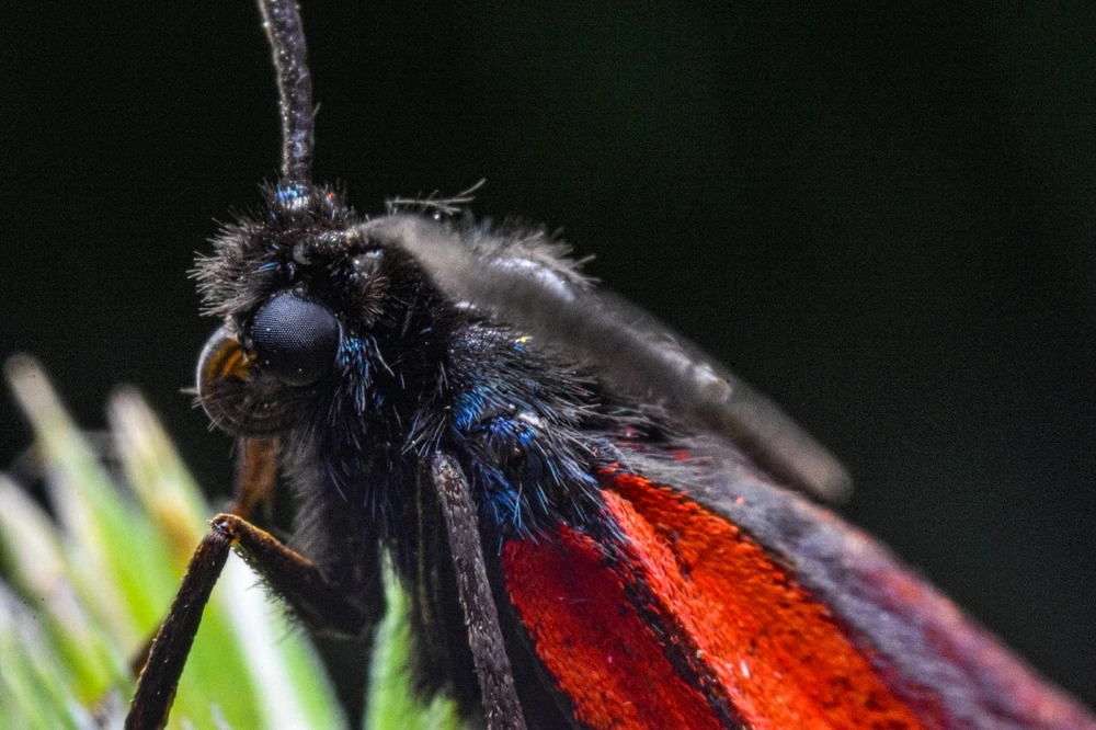 Фото загрузил Николай