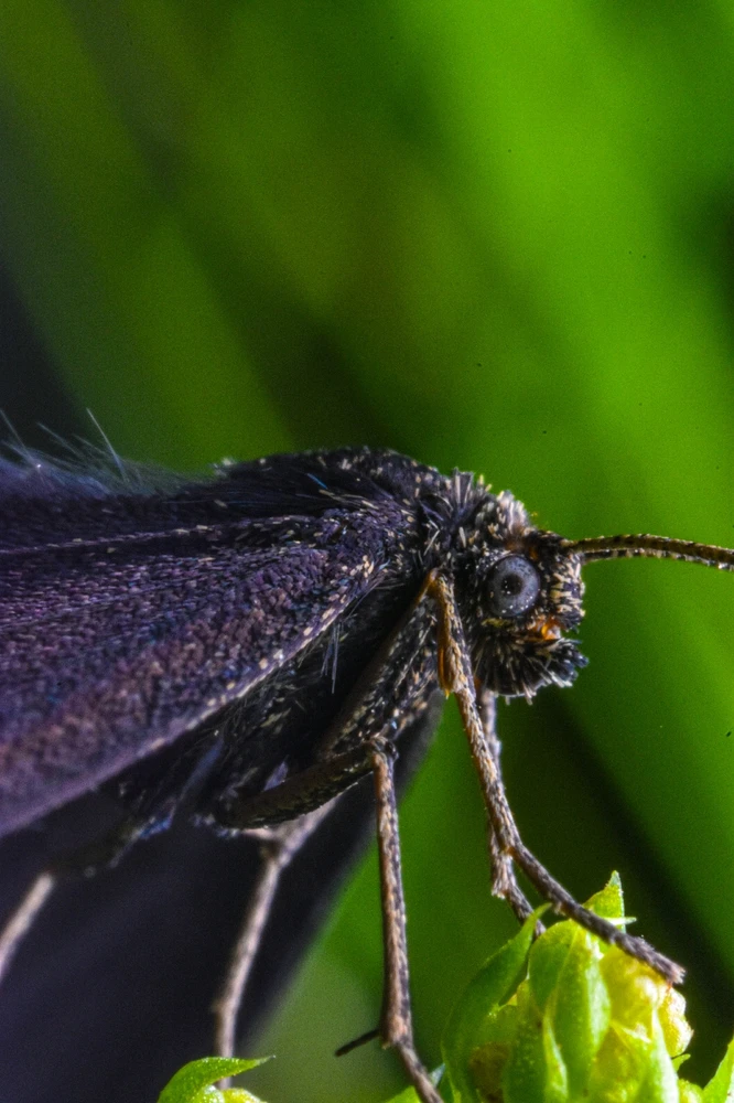 Фото загрузил Николай