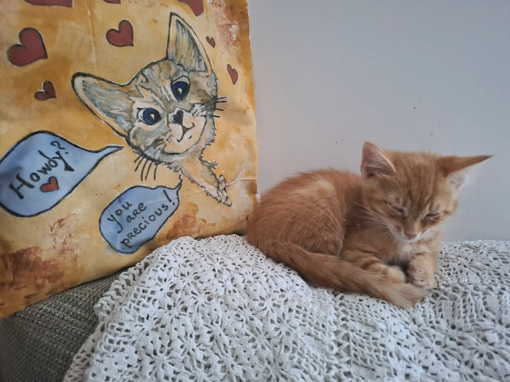 GIF sent inn af Lovorka