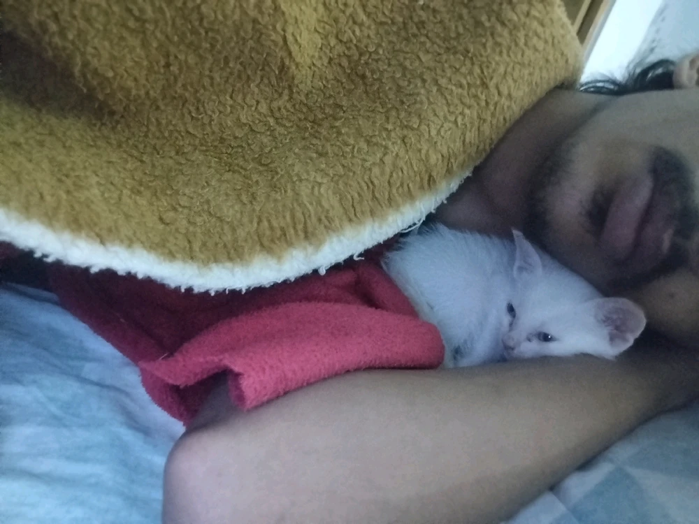 GIF enviado por Kayk Canova