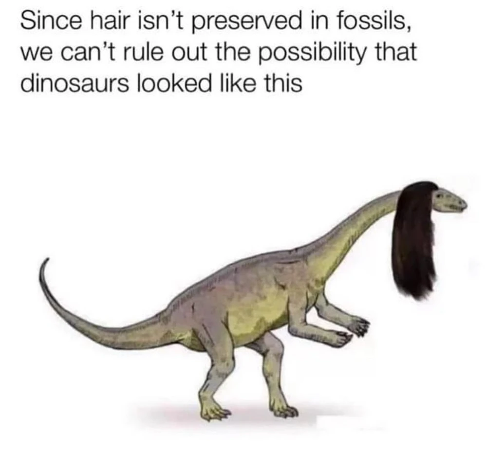 Obrázek nahrál Irónia