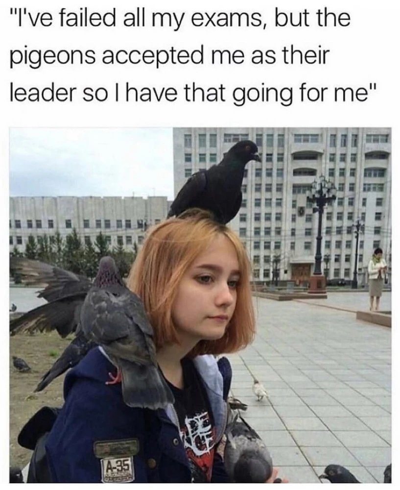 Obrázek nahrál Irónia