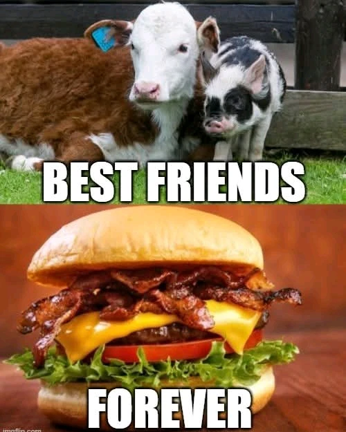 GIF dodany przez Tymianek