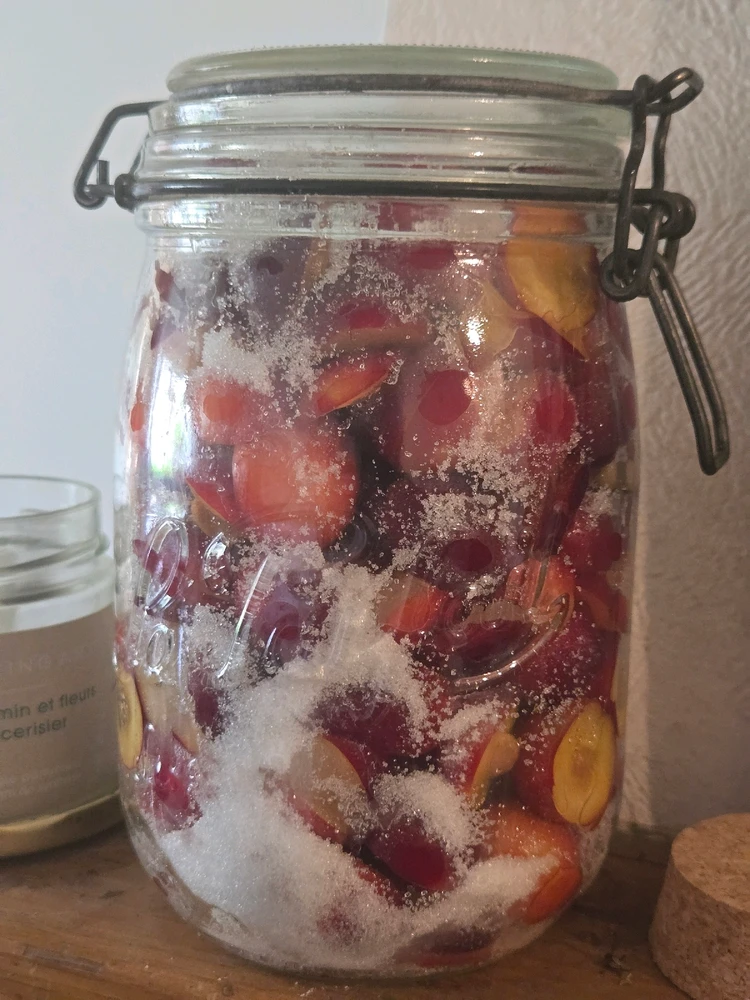 GIF ajouté par Chris