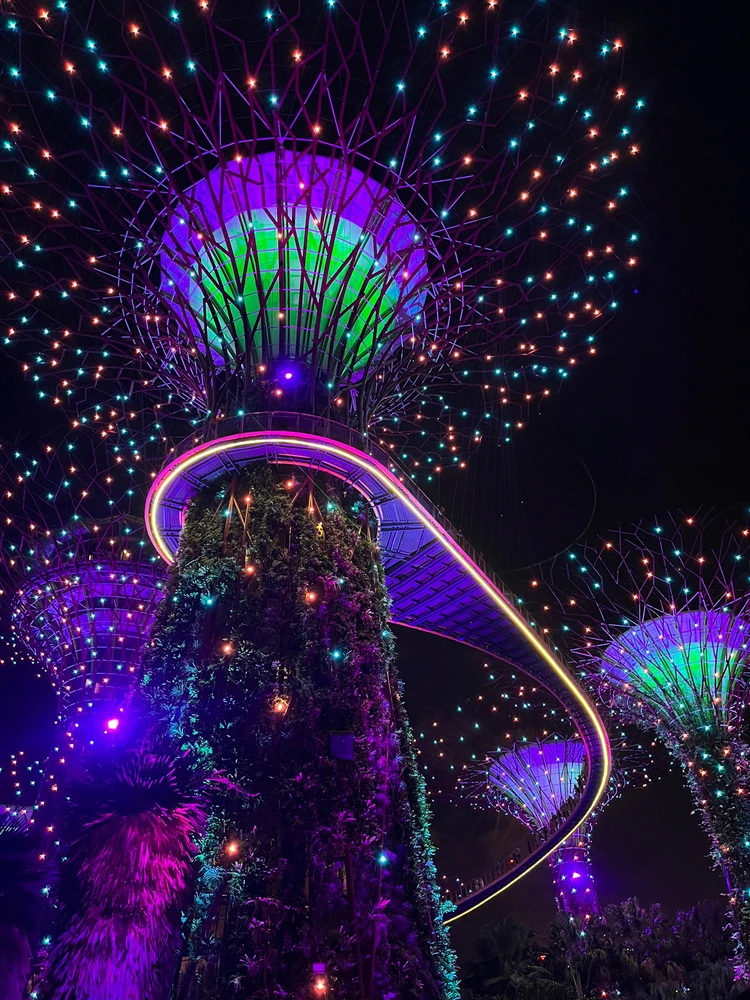 GIF diunggah oleh Detya