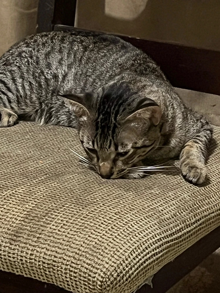 GIF subido por Itzel