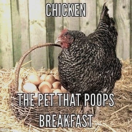 GIF uploaded by Justin