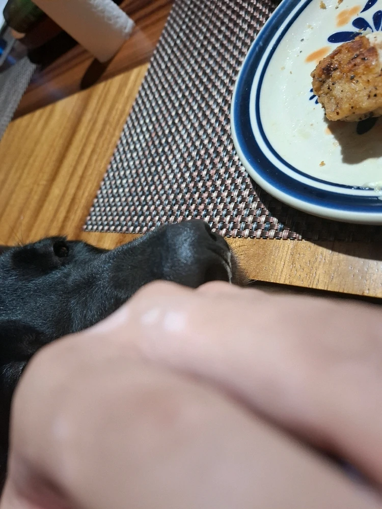 GIF subido por Andrés