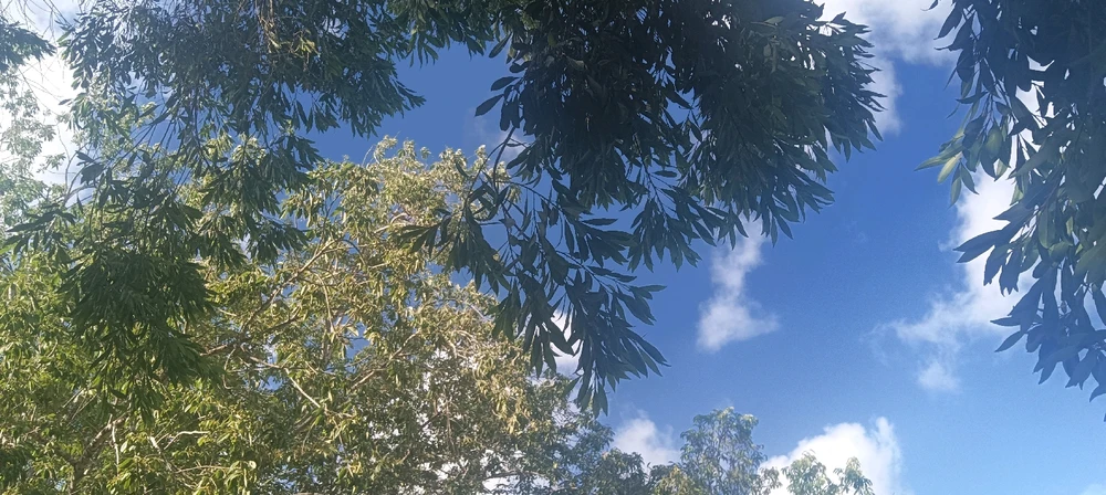 GIF uploaded by Miss no one