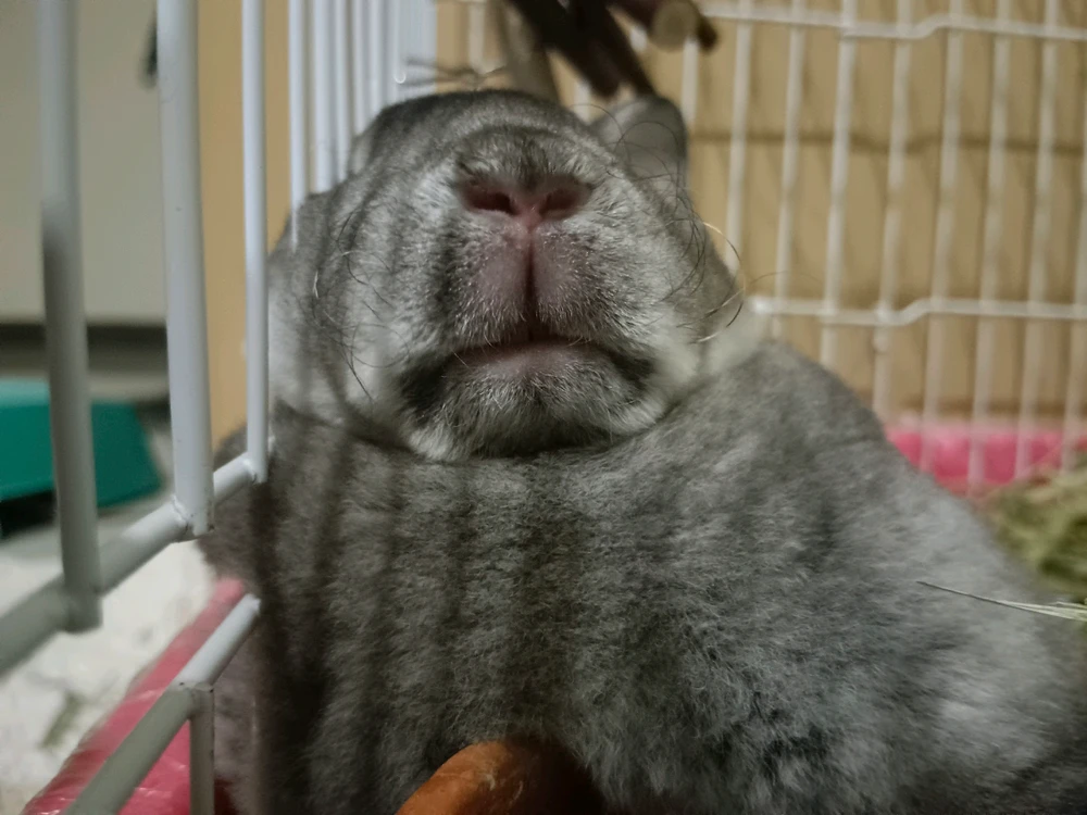 GIF อัปโหลดโดย Aon