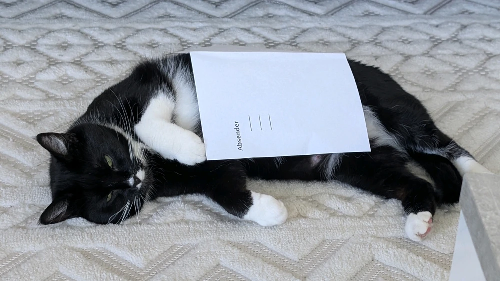 GIF hochgeladen von Hiki