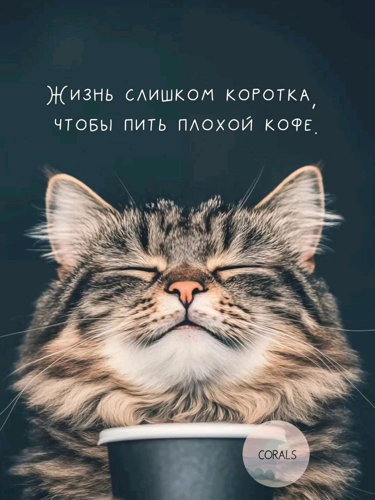 GIF загрузил Juliya