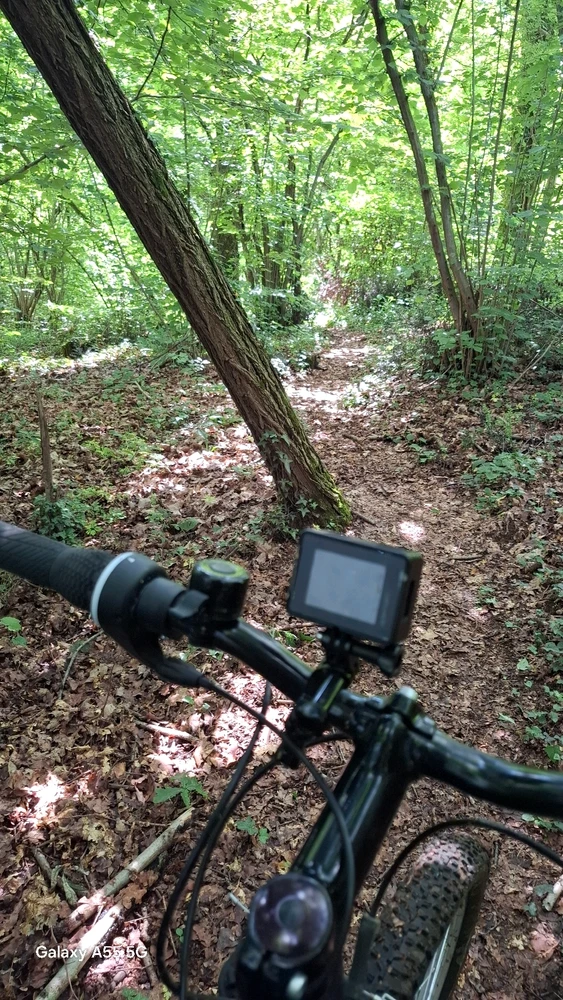 Immagine caricata da Michele