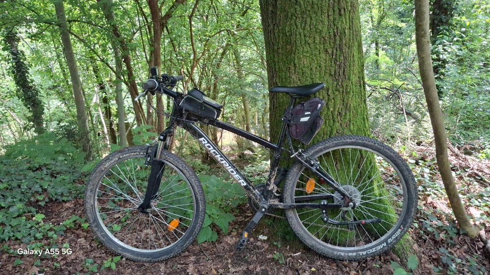 Immagine caricata da Michele