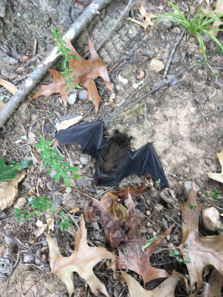 Image uploaded by Melodie