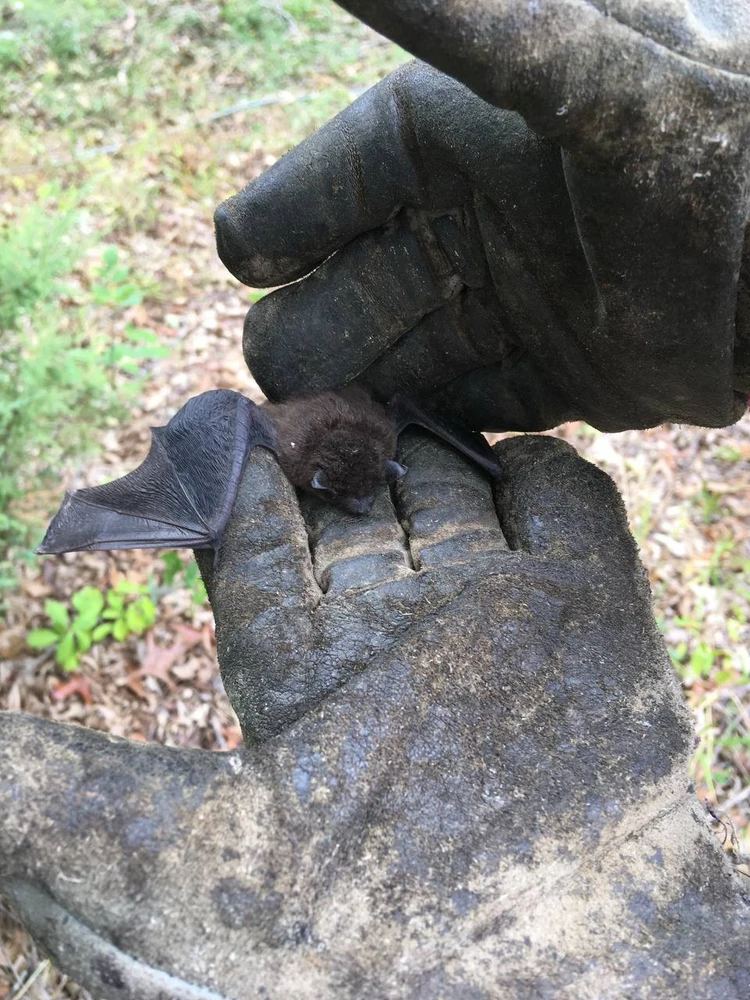 Image uploaded by Melodie