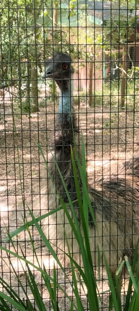 GIF uploaded by Akarii