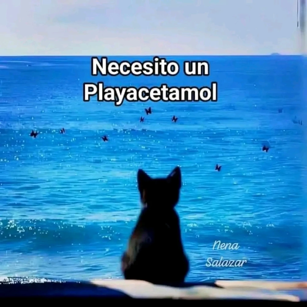 GIF subido por ❤ Sophia aka Mango Mami ❤️