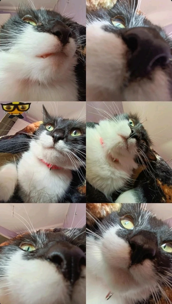 GIF subido por Millaray