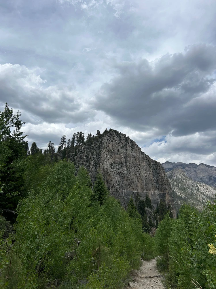 Image uploaded by Thomas