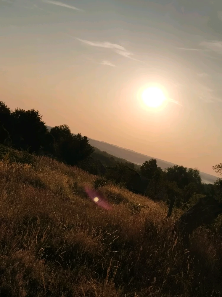 GIF hochgeladen von Denis