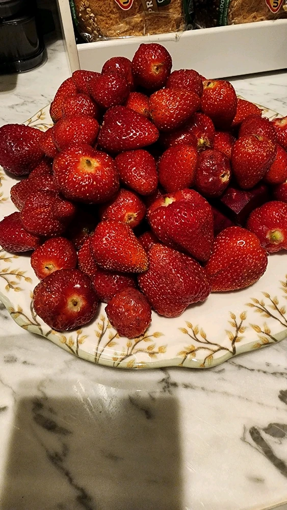 Bery bery, strawberry~